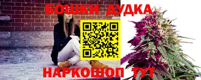 PSILOCYBIN Дубна