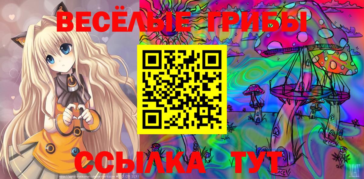 Галлюциногенные грибы Psilocybe  Вход с VPN  Миллерово  Псилоцибиновые грибы Cubensis 